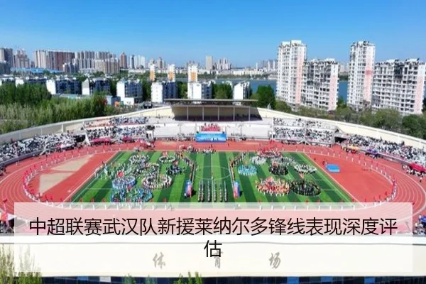 中超联赛武汉队新援莱纳尔多锋线表现深度评估